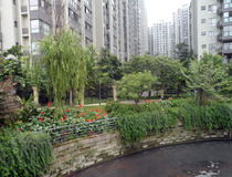 匯融悉尼灣達令港 中瑞匯融的理想家園
